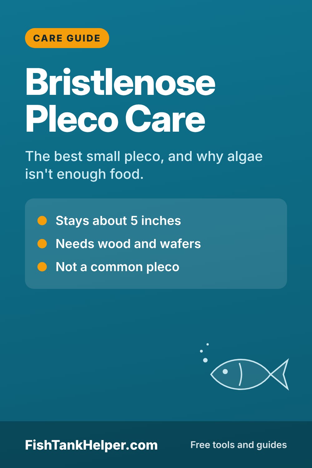 Pinterest pin for this guide: Bristlenose Pleco Care for Beginners: Food, Wood and Tank Size