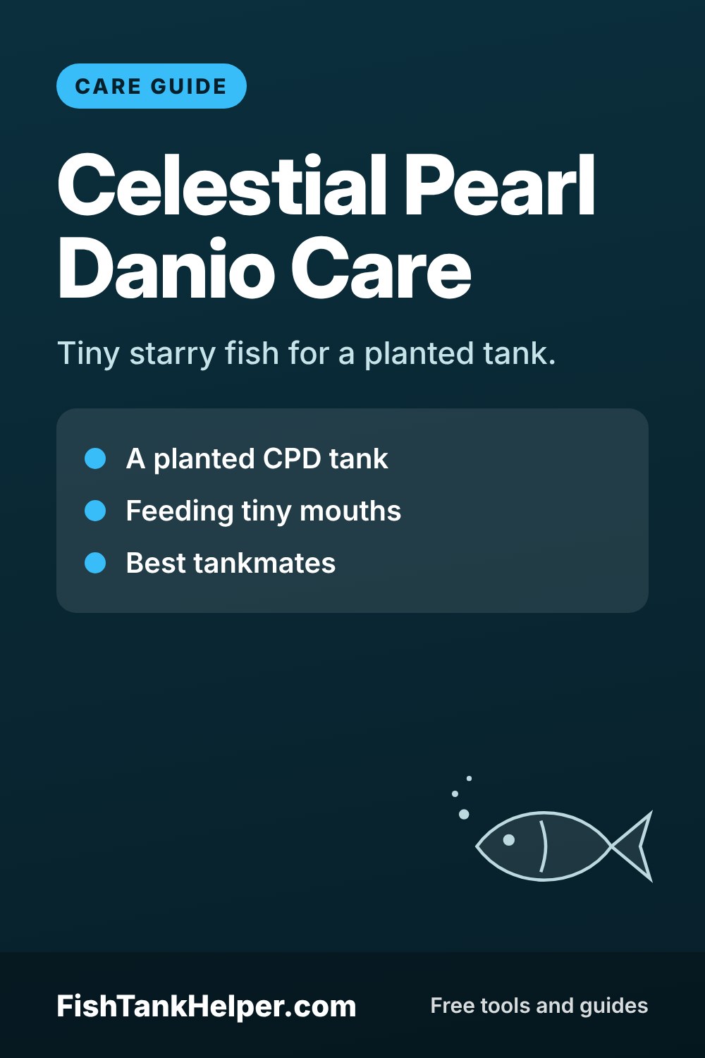 Pinterest pin for this guide: Celestial Pearl Danio Care: Tank, Food and Tankmates