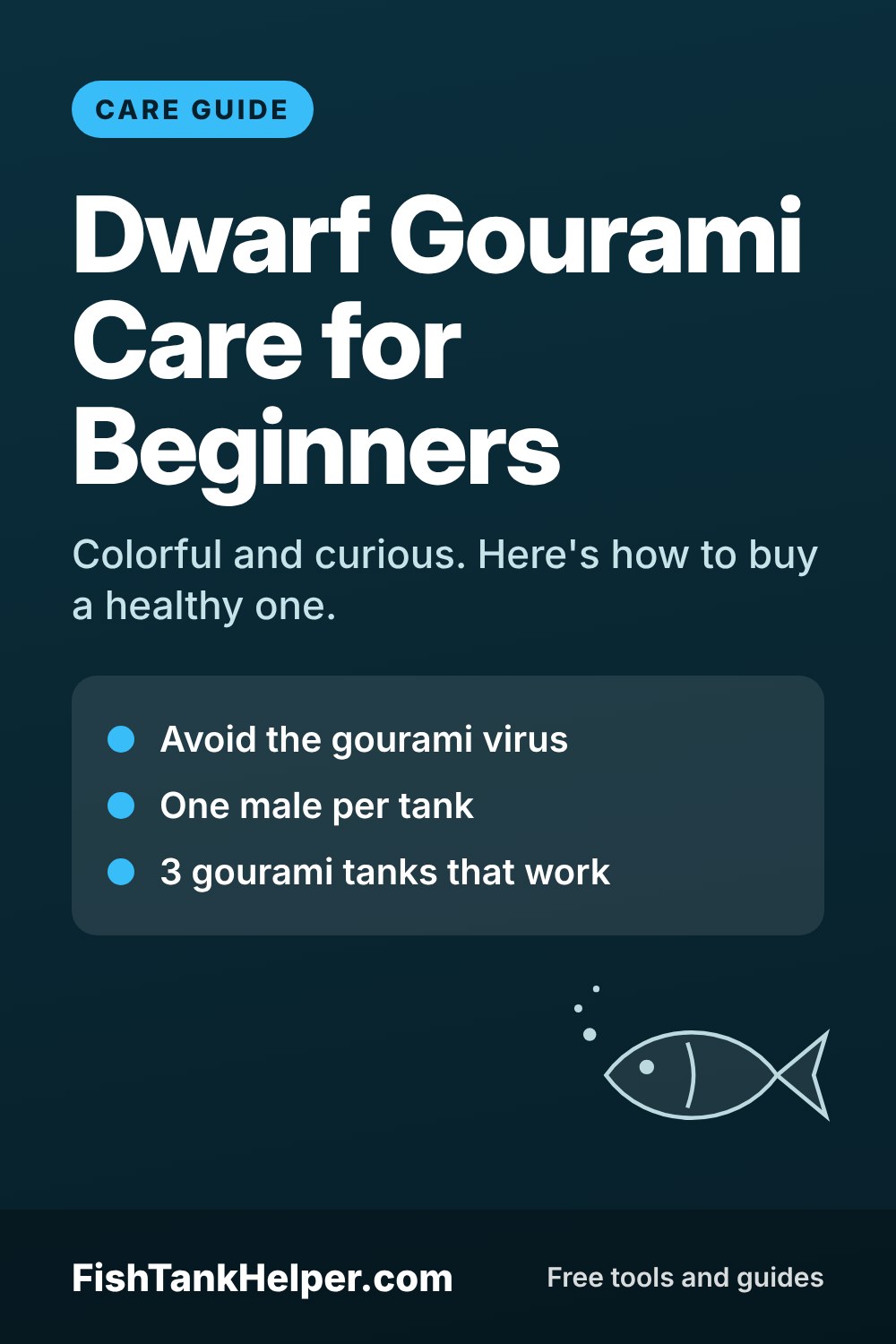 Pinterest pin for this guide: Dwarf Gourami Care for Beginners: Tank, Tankmates and Health