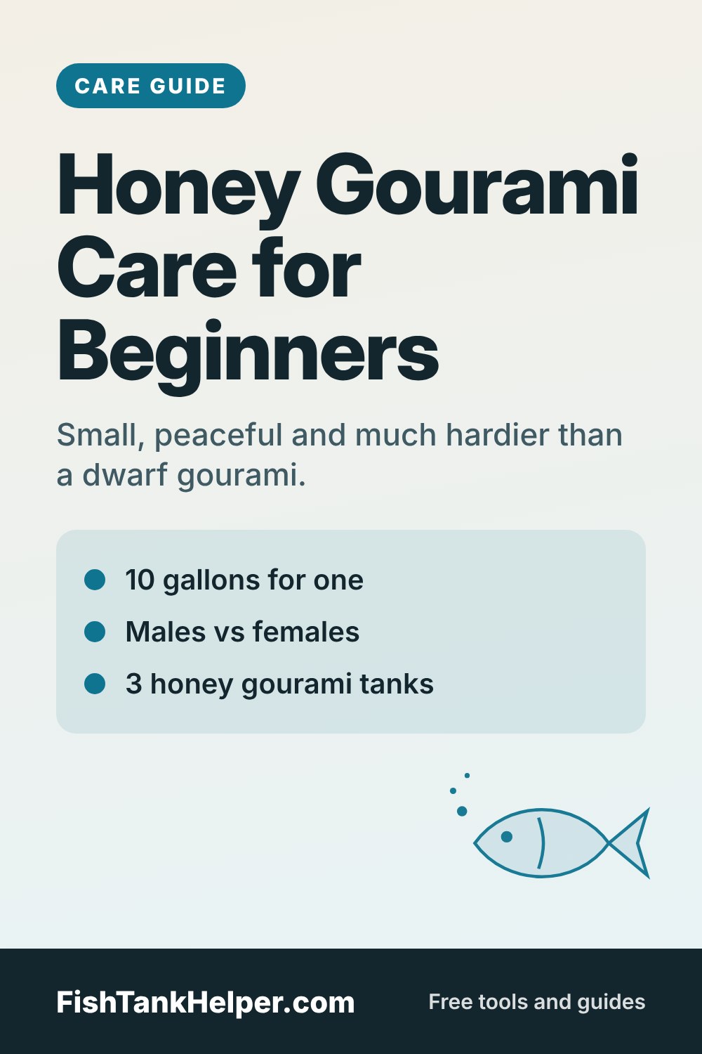 Pinterest pin for this guide: Honey Gourami Care for Beginners: Tank, Tankmates and Setup