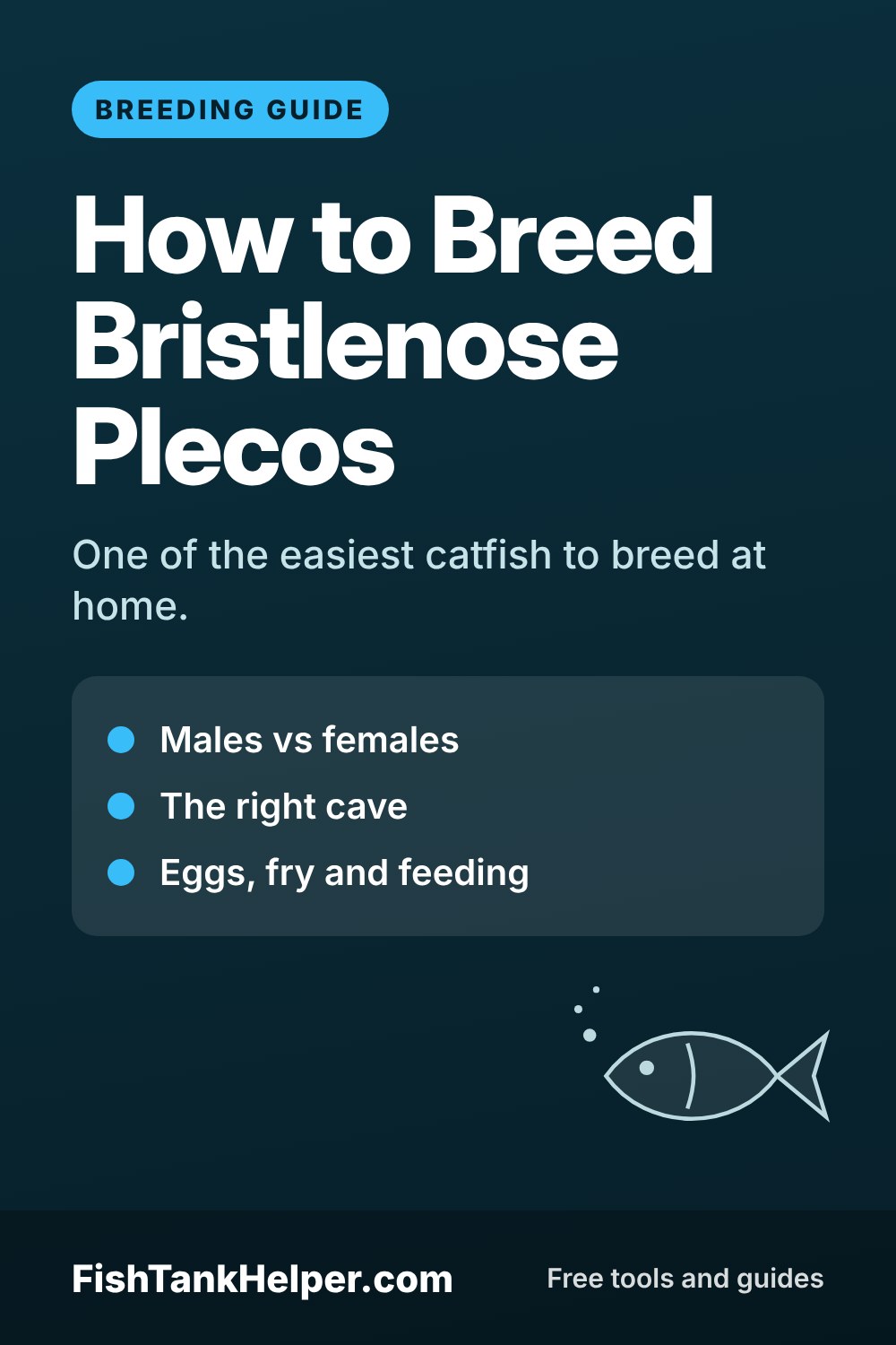 Pinterest pin for this guide: How to Breed Bristlenose Plecos: Caves, Eggs and Fry