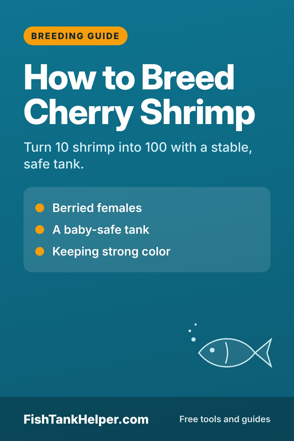 Pinterest pin for this guide: How to Breed Cherry Shrimp: A Simple Guide