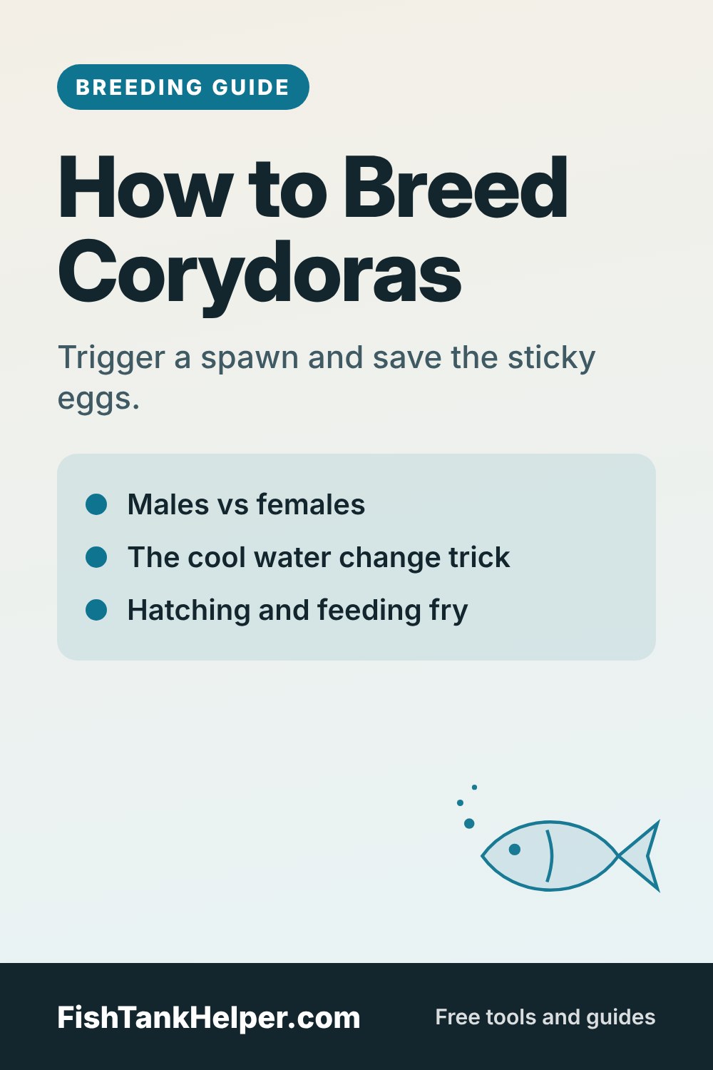 Pinterest pin for this guide: How to Breed Corydoras: Eggs, Spawning and Fry