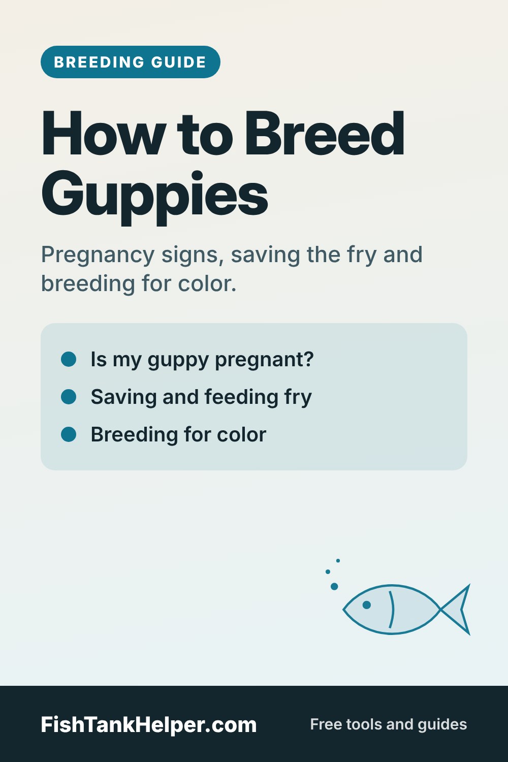 Pinterest pin for this guide: How to Breed Guppies: Pregnancy, Fry and Color
