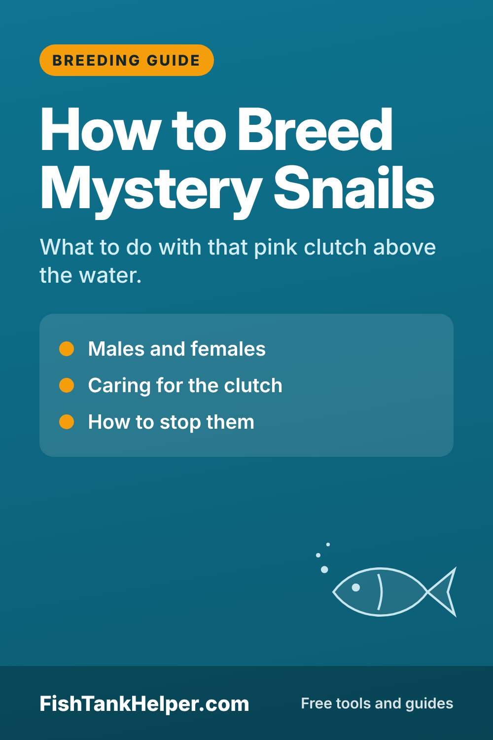Pinterest pin for this guide: How to Breed Mystery Snails (and How to Stop Them)