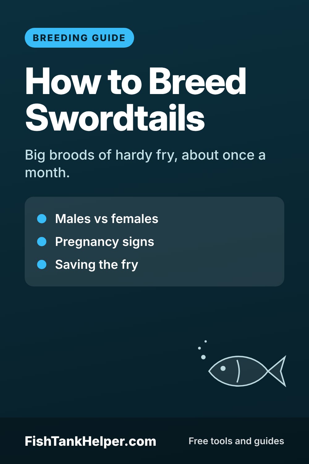 Pinterest pin for this guide: How to Breed Swordtails: Pregnancy, Fry and Care