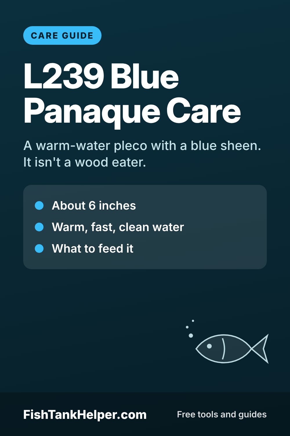 Pinterest pin for this guide: L239 Blue Panaque Care: Food, Tank and Tankmates