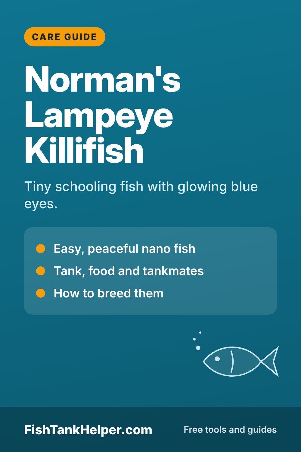Pinterest pin for this guide: Norman's Lampeye Killifish Care and Breeding