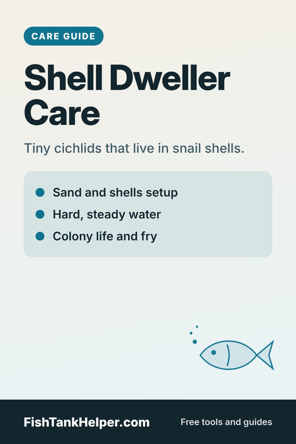 Pinterest pin for this guide: Shell Dweller Care: Multies and Shell-Dwelling Cichlids